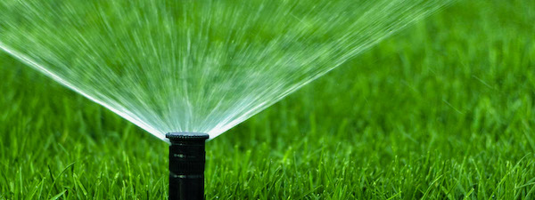 Irrigation & Drainage